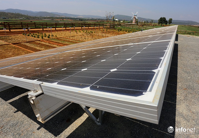 Đẹp như trang trại bò sữa Organic tiêu chuẩn châu Âu đầu tiên tại Việt Nam - ảnh 9