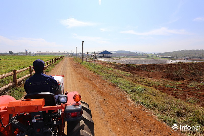 Đẹp như trang trại bò sữa Organic tiêu chuẩn châu Âu đầu tiên tại Việt Nam - ảnh 11