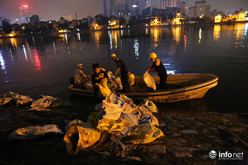 Lại trắng đêm vớt cá chết trên hồ Hoàng Cầu - ảnh 5