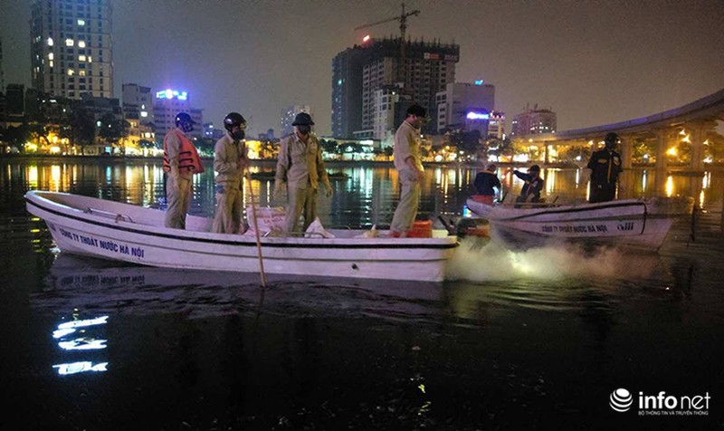 Lại trắng đêm vớt cá chết trên hồ Hoàng Cầu - ảnh 10