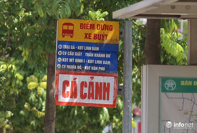 Hà Nội: Tờ rơi, quảng cáo dán kín biển báo công cộng - ảnh 1