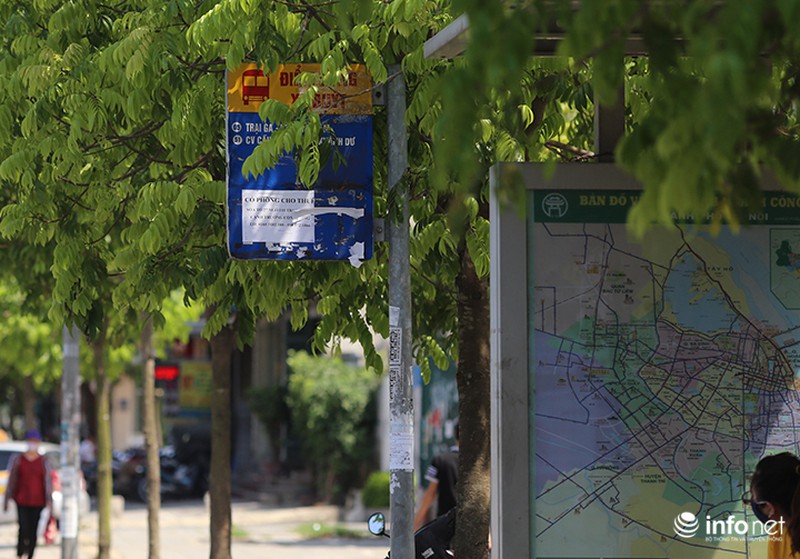 Hà Nội: Tờ rơi, quảng cáo dán kín biển báo công cộng - ảnh 7