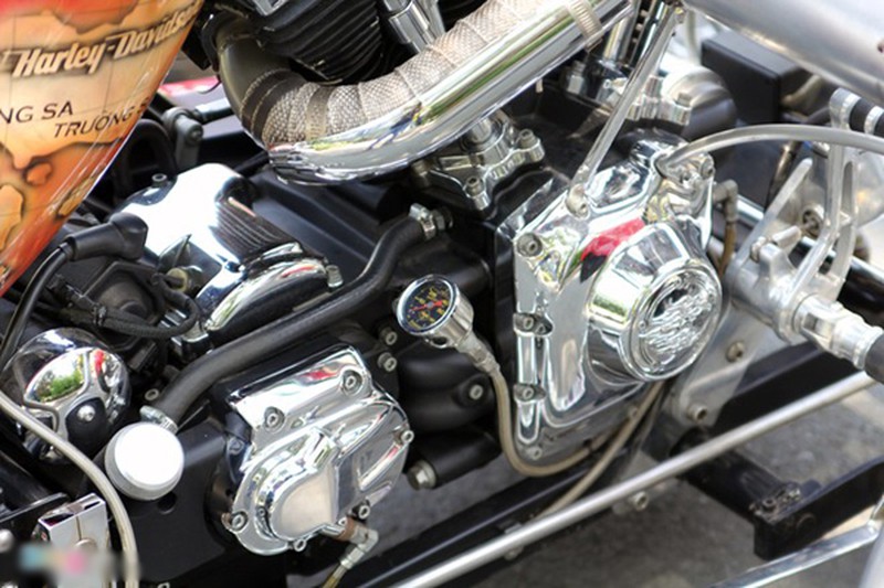Chiếc Roadstercycle 3 bánh in quốc kỳ Việt Nam - ảnh 17