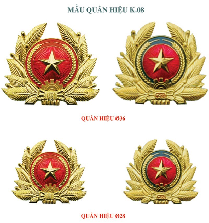Qui định quân hiệu, cấp hiệu của Quân đội nhân dân Việt Nam - ảnh 1