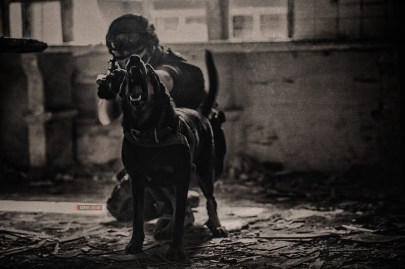 Cận cảnh trang phục, vũ khí trong phim hành động VN theo phong cách Holywood - ảnh 18