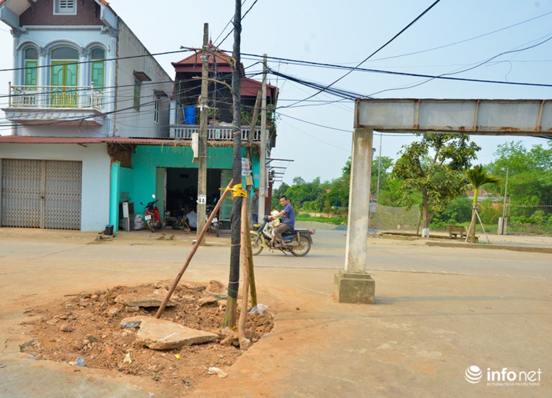 Hà Nội: Dẹp vỉa hè, dẹp cả cây, giờ đi trồng lại! - ảnh 8