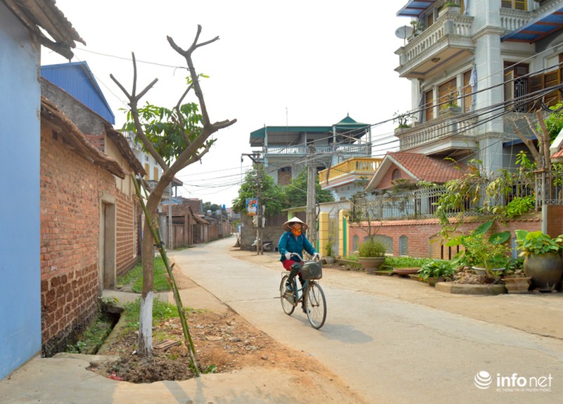 Hà Nội: Dẹp vỉa hè, dẹp cả cây, giờ đi trồng lại! - ảnh 7