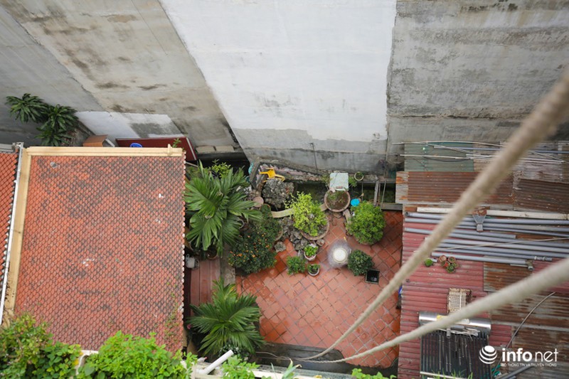 Chàng trai dựng vườn treo VAC giữa lòng Thủ Đô - ảnh 9