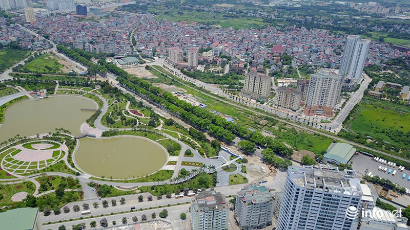 Cận cảnh hàng cây 1300 gốc chuẩn bị chặt hạ, di chuyển để làm đường vành đai 3 - ảnh 13