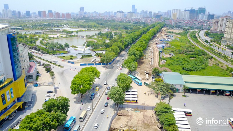 Cận cảnh hàng cây 1300 gốc chuẩn bị chặt hạ, di chuyển để làm đường vành đai 3 - ảnh 11