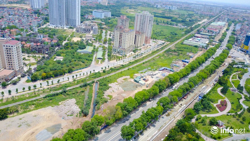 Cận cảnh hàng cây 1300 gốc chuẩn bị chặt hạ, di chuyển để làm đường vành đai 3 - ảnh 3