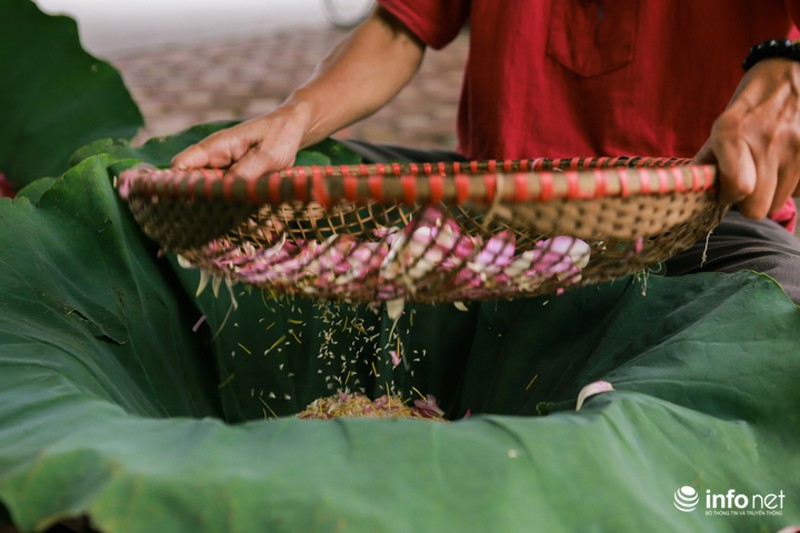 Nghệ thuật ướp trà sen lan tỏa thế giới của người thương binh Việt Nam - ảnh 8