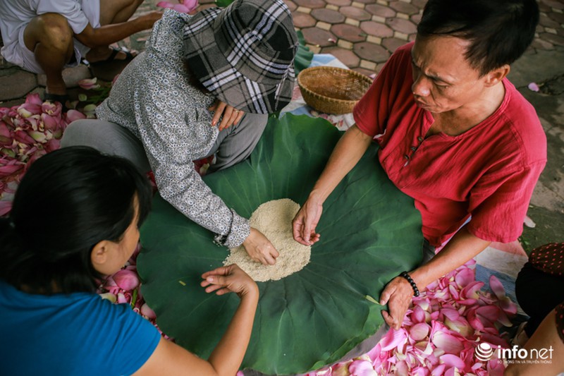 Nghệ thuật ướp trà sen lan tỏa thế giới của người thương binh Việt Nam - ảnh 7