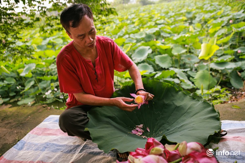 Nghệ thuật ướp trà sen lan tỏa thế giới của người thương binh Việt Nam - ảnh 5