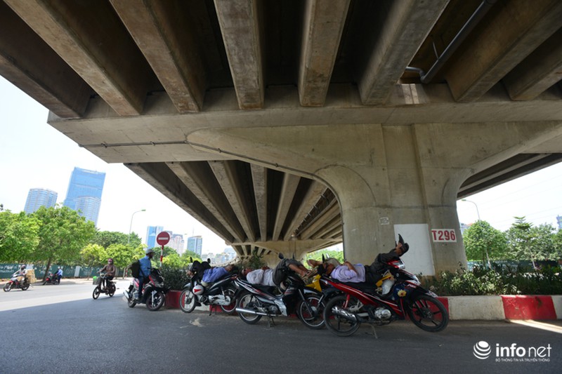 Muôn kiểu tránh nóng của người Hà Nội - ảnh 7