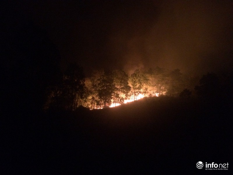 Hà Nội: Cháy rừng phòng hộ lớn nhất trong lịch sử - ảnh 1