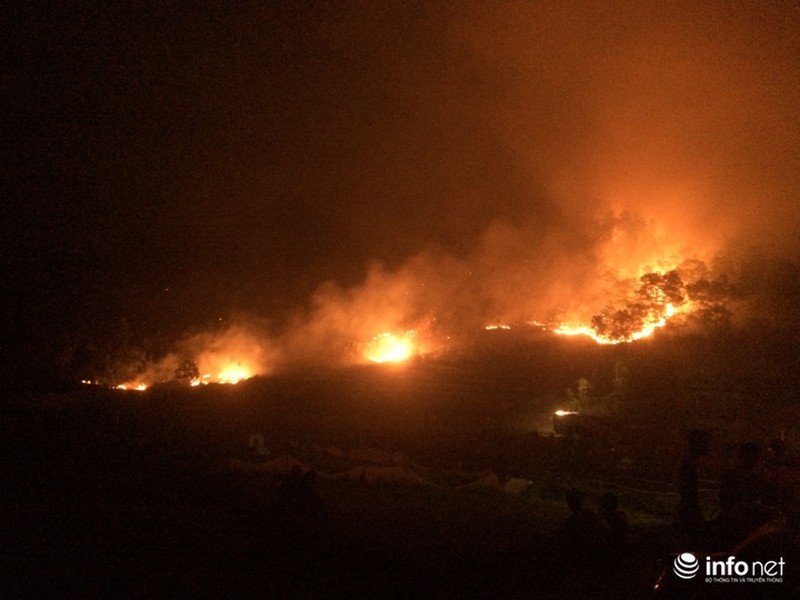 Hà Nội: Cháy rừng phòng hộ lớn nhất trong lịch sử - ảnh 2