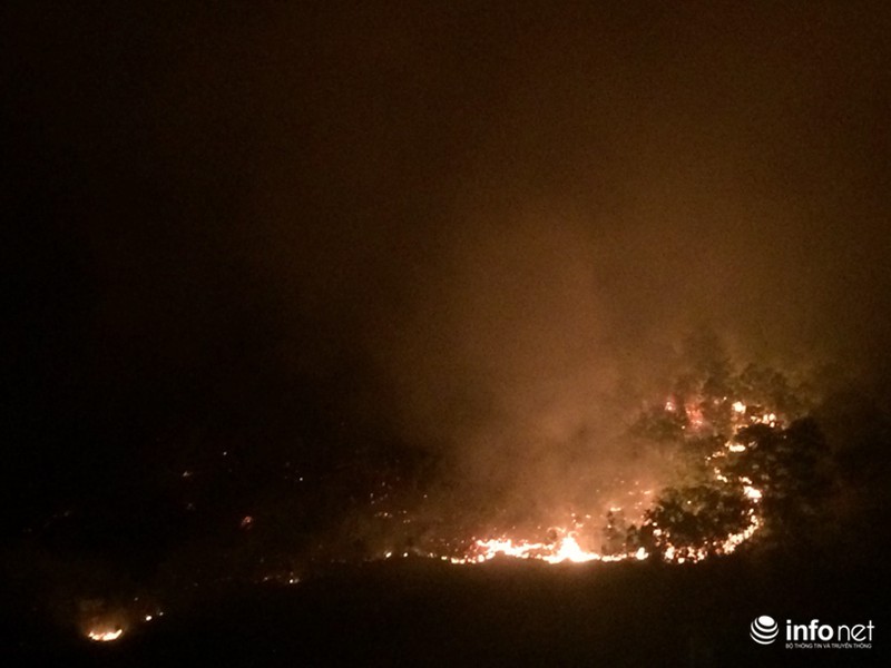 Hà Nội: Cháy rừng phòng hộ lớn nhất trong lịch sử - ảnh 3