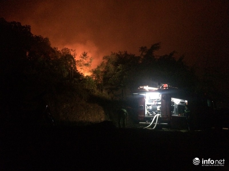 Hà Nội: Cháy rừng phòng hộ lớn nhất trong lịch sử - ảnh 4