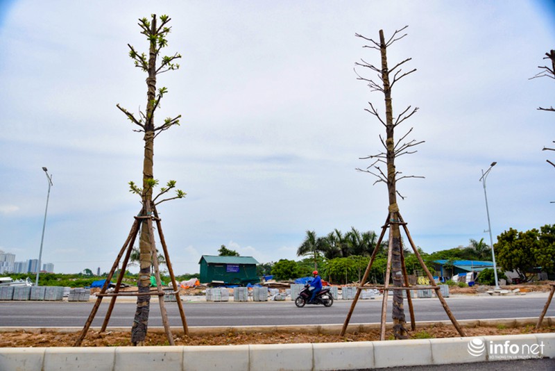 Toàn cảnh tuyến đường nghìn tỷ nối Xa La - Nguyễn Xiển sắp hoàn thành - ảnh 8