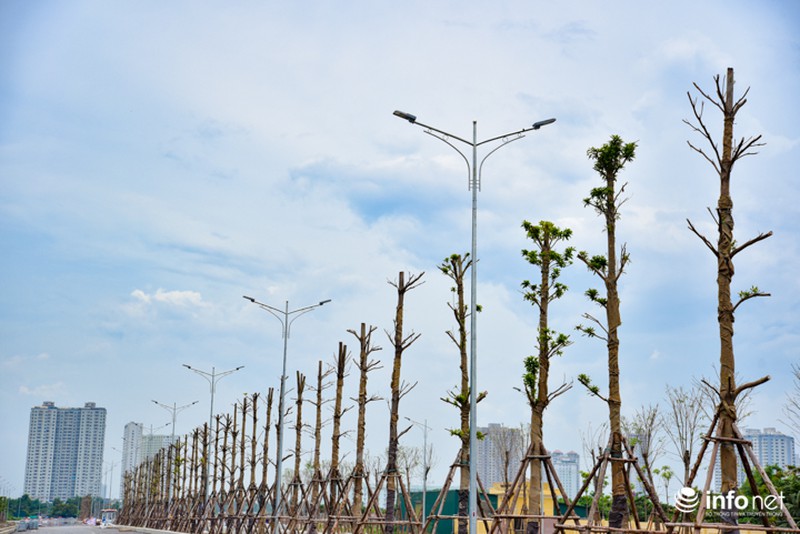 Toàn cảnh tuyến đường nghìn tỷ nối Xa La - Nguyễn Xiển sắp hoàn thành - ảnh 9