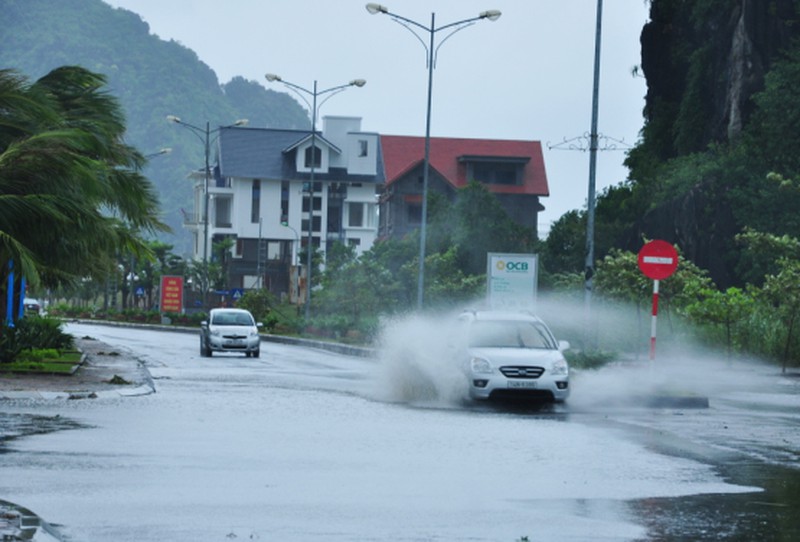 Cây đổ tả tơi sau bão số 3 tại Hạ Long - ảnh 13