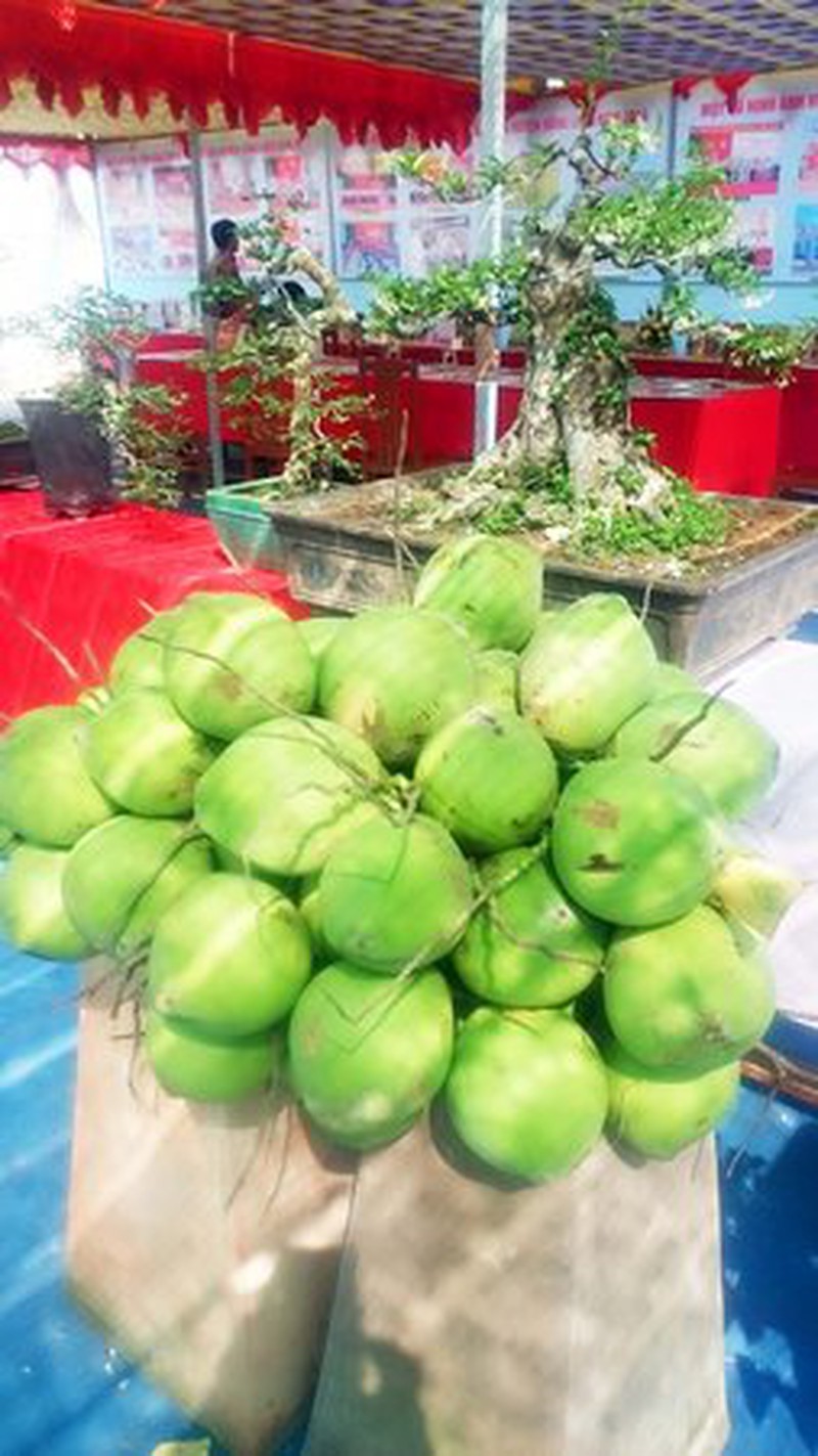 Kỳ lạ con ếch không đầu vẫn sống - ảnh 3