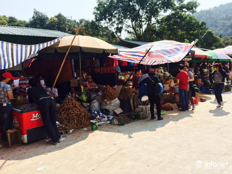 Người người về non thiêng Yên Tử đầu xuân - ảnh 1