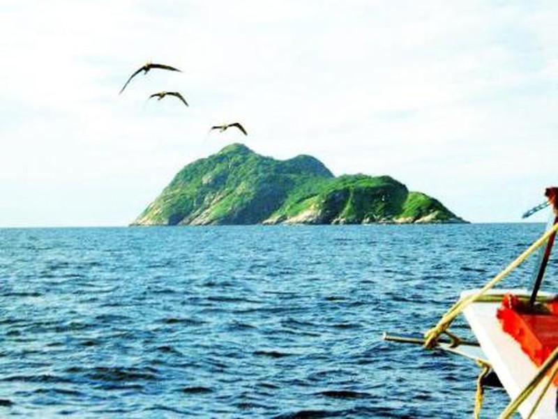 Đảo Rắn ở Brazil: Nơi tử thần ẩn náu trong thiên đường - ảnh 1