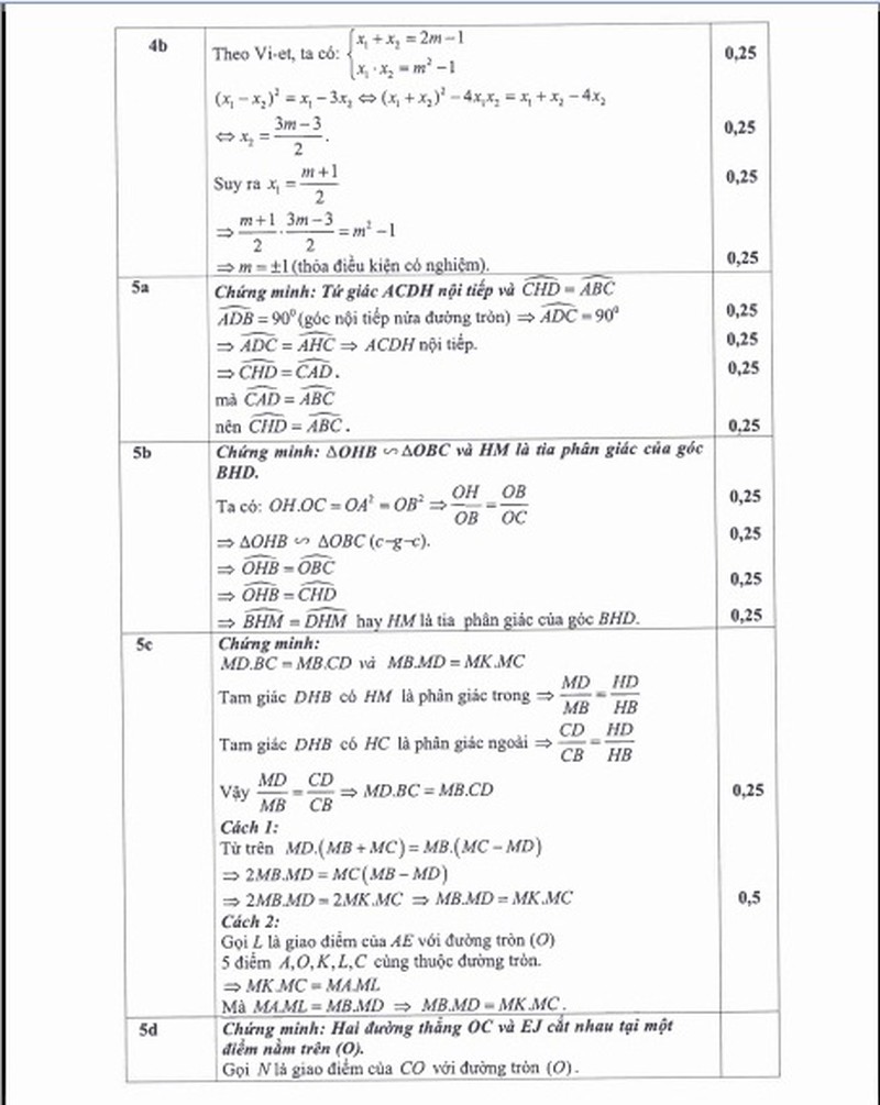 Đáp án chính thức môn Toán kỳ thi lớp 10 TP.HCM - ảnh 2