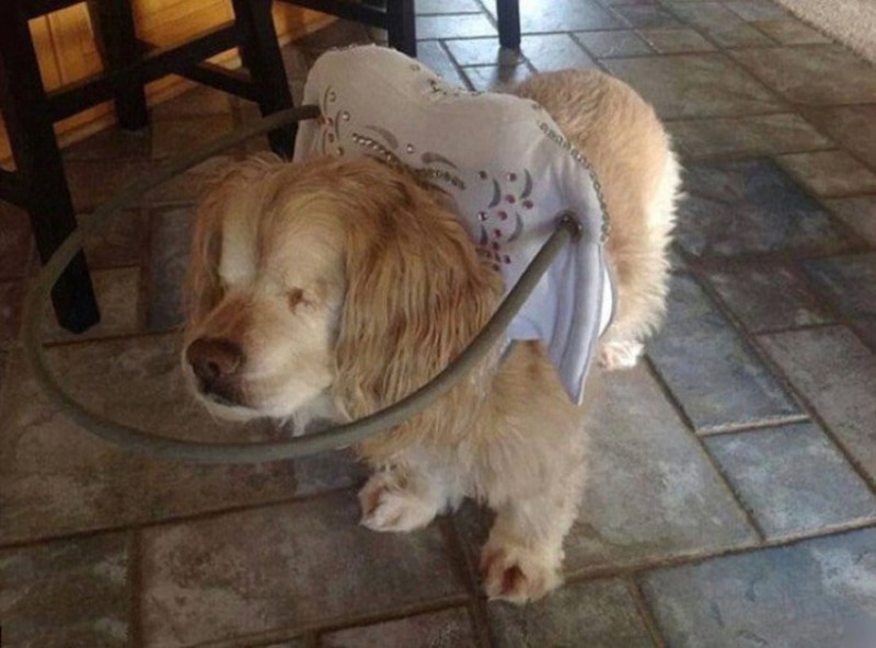 Đã bao giờ bạn nhìn thế giới theo cách khác chưa? - ảnh 13