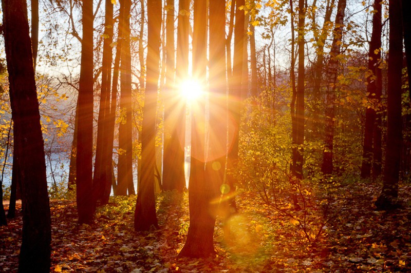 15 nơi có mùa thu đẹp nhất thế giới - ảnh 4