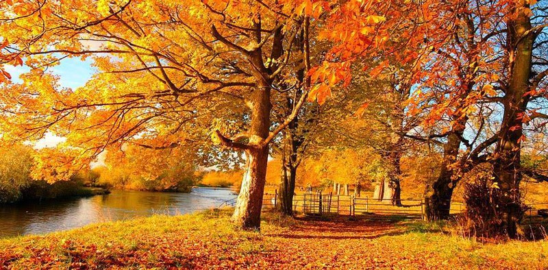 15 nơi có mùa thu đẹp nhất thế giới - ảnh 6