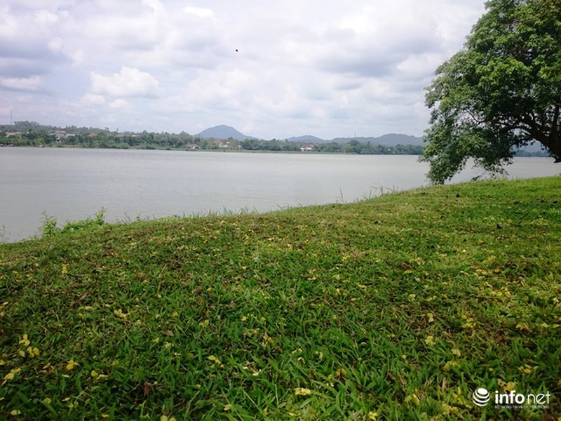 Chùm ảnh: Hoa muồng hoàng yến vàng rực giữa trời hè Cố đô Huế - ảnh 8