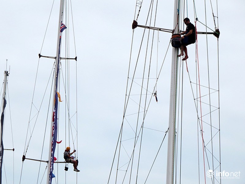 Thủy thủ Clipper làm “người nhện” trên các cột thuyền buồm - ảnh 7