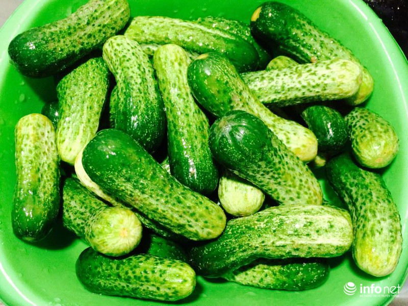Cách muối dưa chuột bao tử chống ngán ngày Tết - ảnh 2