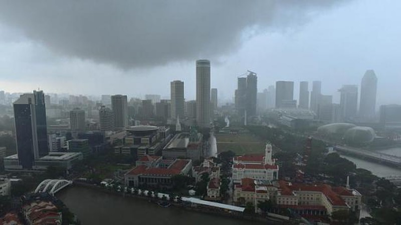 Người Singapore dầm mưa, đưa tang cựu Thủ tướng Lý Quang Diệu - ảnh 7