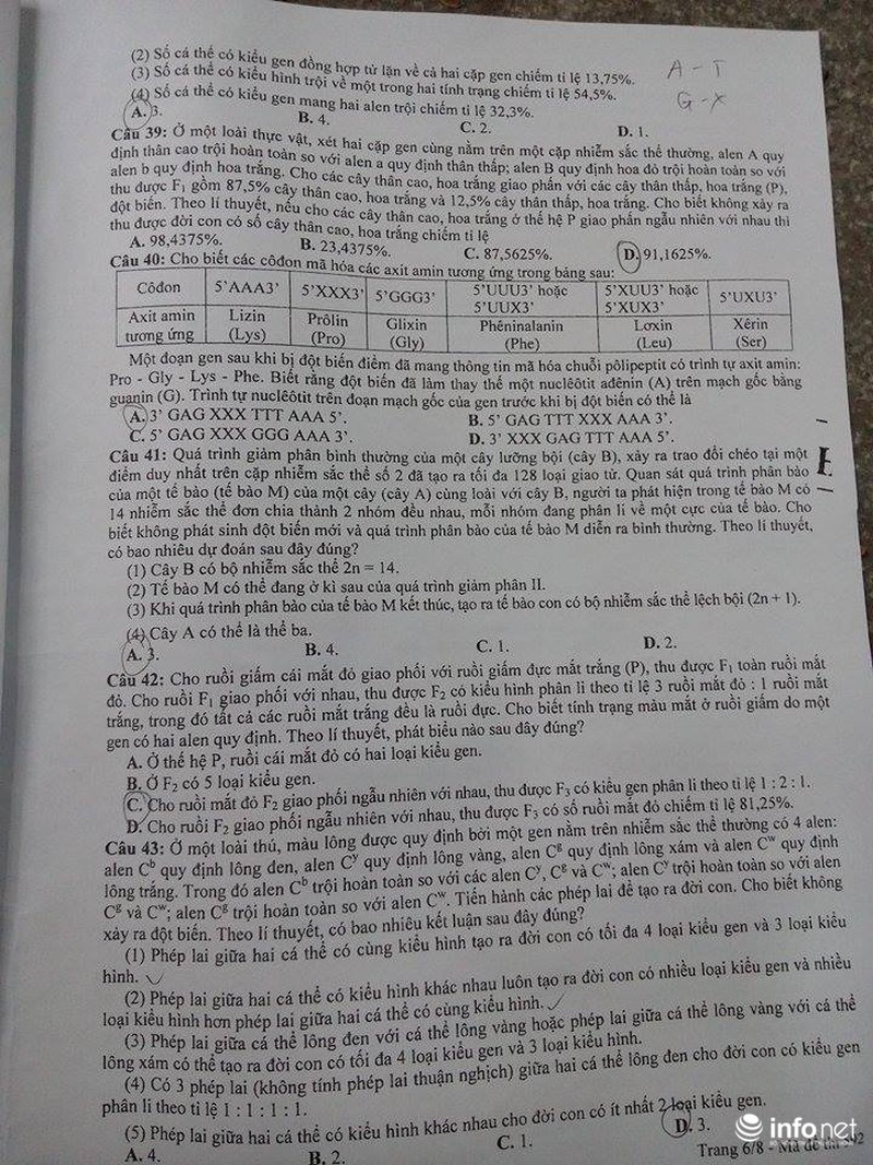Đề Sinh học kỳ thi THPT quốc gia 2016 - ảnh 6