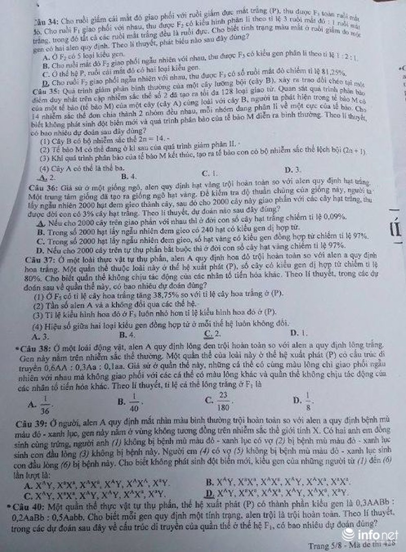 Đề Sinh học kỳ thi THPT quốc gia 2016 - ảnh 5