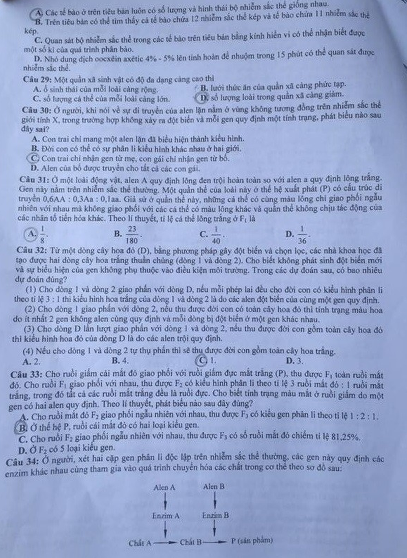 Đề Sinh học kỳ thi THPT quốc gia 2016 - ảnh 12