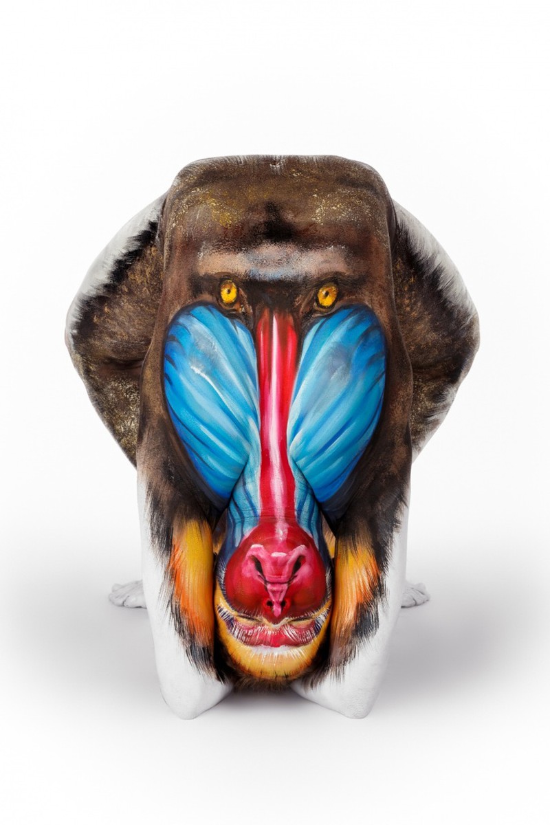 Bộ sưu tập những tác phẩm Body Painting vô cùng