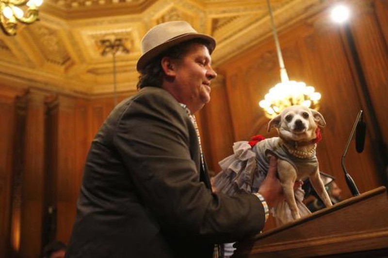 Mỹ: Chó chihuahua được bầu làm thị trưởng San Fracisco - ảnh 3