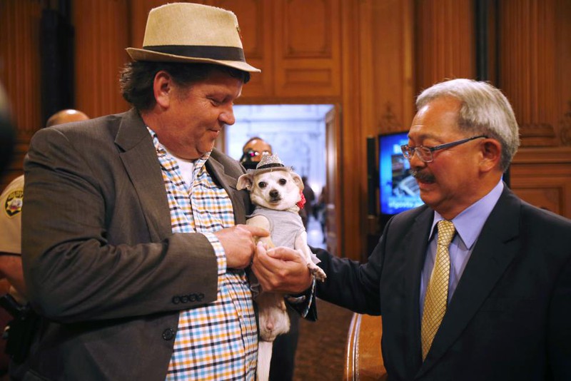 Mỹ: Chó chihuahua được bầu làm thị trưởng San Fracisco - ảnh 6