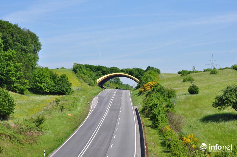 Những cây cầu đặc biệt dành riêng cho động vật - ảnh 3