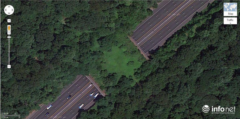 Những cây cầu đặc biệt dành riêng cho động vật - ảnh 4