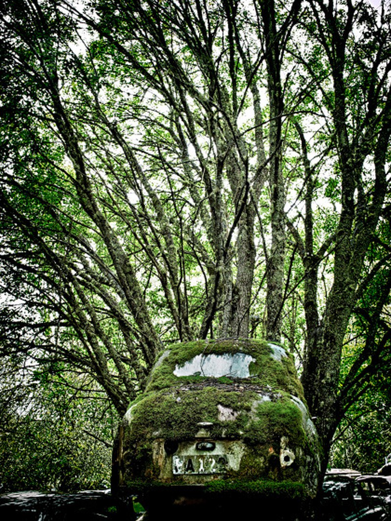 Những nghĩa địa ô tô âm u nhất trên thế giới - ảnh 6