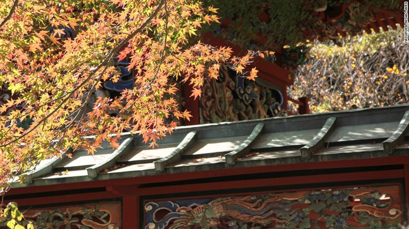 Ngất ngây sắc thu ở Nhật Bản - ảnh 8