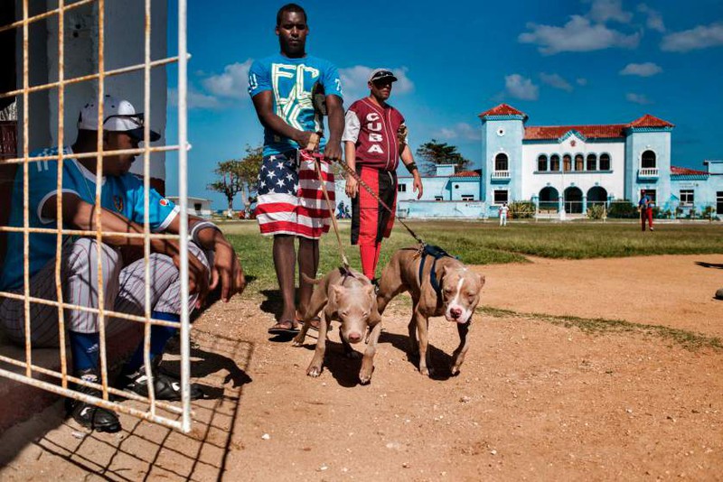 Cuba có gì khác sau bình thường hóa quan hệ với Mỹ? - ảnh 4