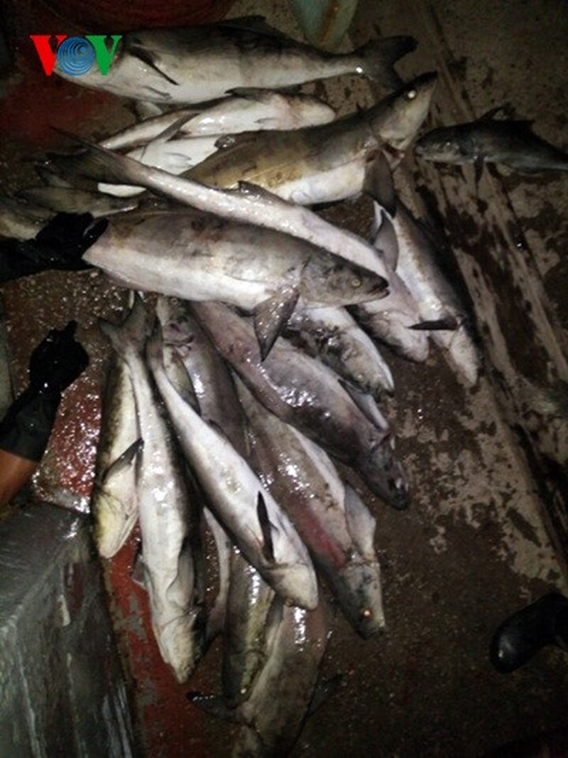 Shop TIN 15/8: CHÀO ĐÓN XẠ THỦ HOÀNG XUÂN VINH, NGƯỜI HÙNG OLYMPIC 2016 - ảnh 11