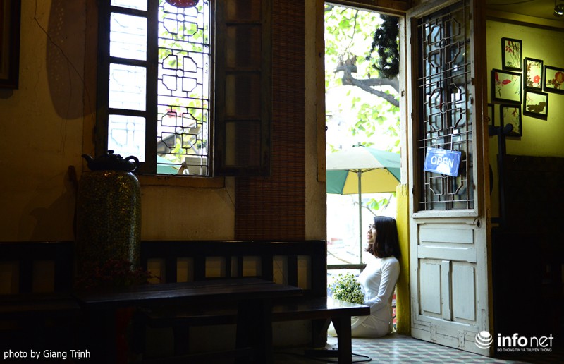 Thiếu nữ Hà thành trong mùa hoa cúc họa mi - ảnh 20